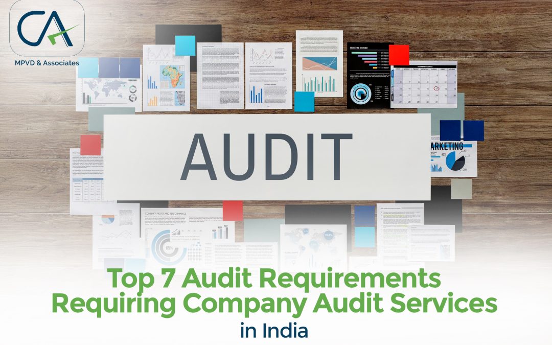Company Audit Services